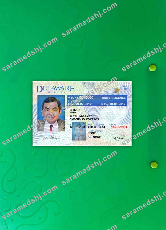 USA Delaware driving license version 2 photolook FRONT